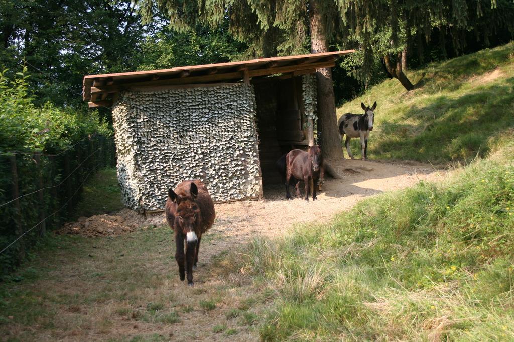 B&B La Casa Di Campagna Бергамо Экстерьер фото